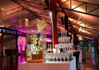 Haras de Jardy 16 Oct 2015  (8)